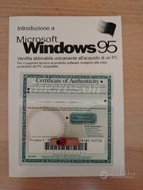Windows 95 licenza