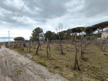 Terreno Agricolo Vesuvio Boscotrecase