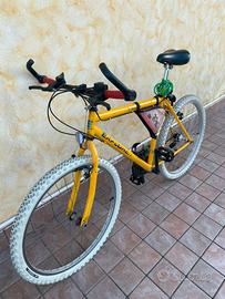 Bici gomme larghe pari nuova