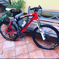 Mtb focus firs carbon