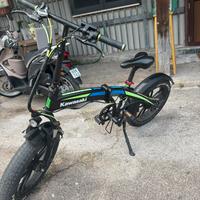 Bicicletta elettrica