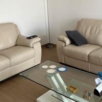 Due divani in vera pelle 