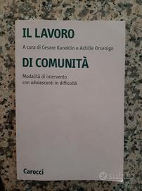 Keneklin/Orsenigo - Il lavoro di comunità