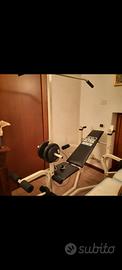 palestra con pesi