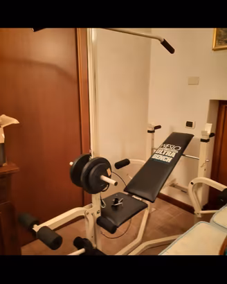 palestra con pesi
