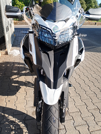 Benelli trk 502 x 2021