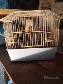 gabbia