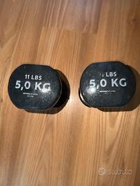 2 pesi da 5 kg