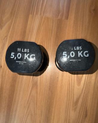 2 pesi da 5 kg