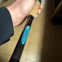 Canna da casting St. Croix Bass X