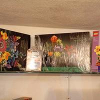 SET LEGO BOTANICO + OMAGGIO nuovi