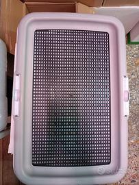 puppy training base addestramento cani cuccioli