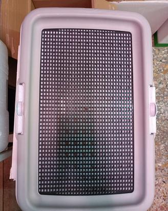 puppy training base addestramento cani cuccioli