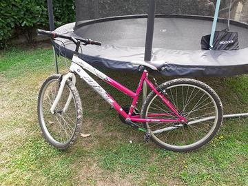 Mtb donna