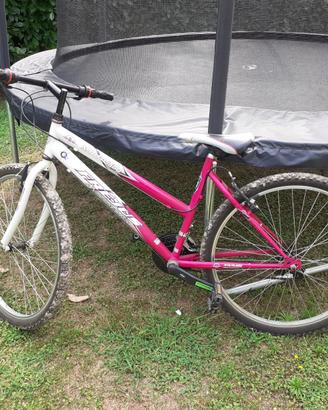 Mtb donna