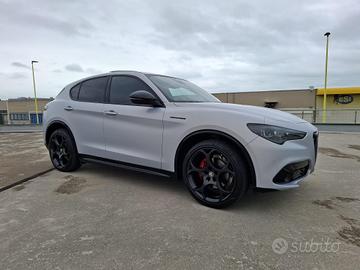 Stelvio competizione 