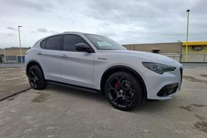 Stelvio competizione 