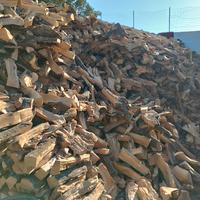 LEGNA DA ARDERE (ASCHE DI ULIVO)