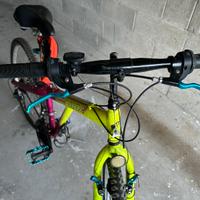 Bicicletta mountain bike