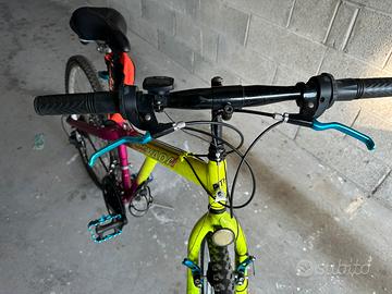 Bicicletta mountain bike