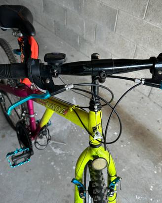 Bicicletta mountain bike