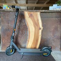 Ninebot KickScooter MAX G30D II