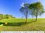 Immagine 15
