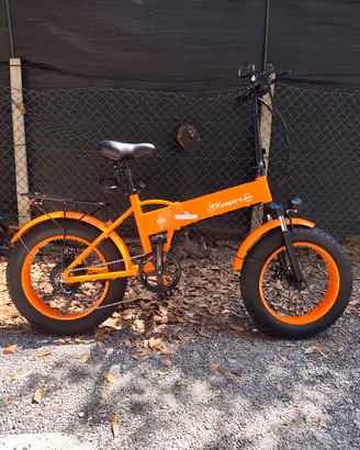 Bici elettrica come nuova 