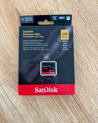 SanDisk Extreme Pro 256 GB 160 MB/s