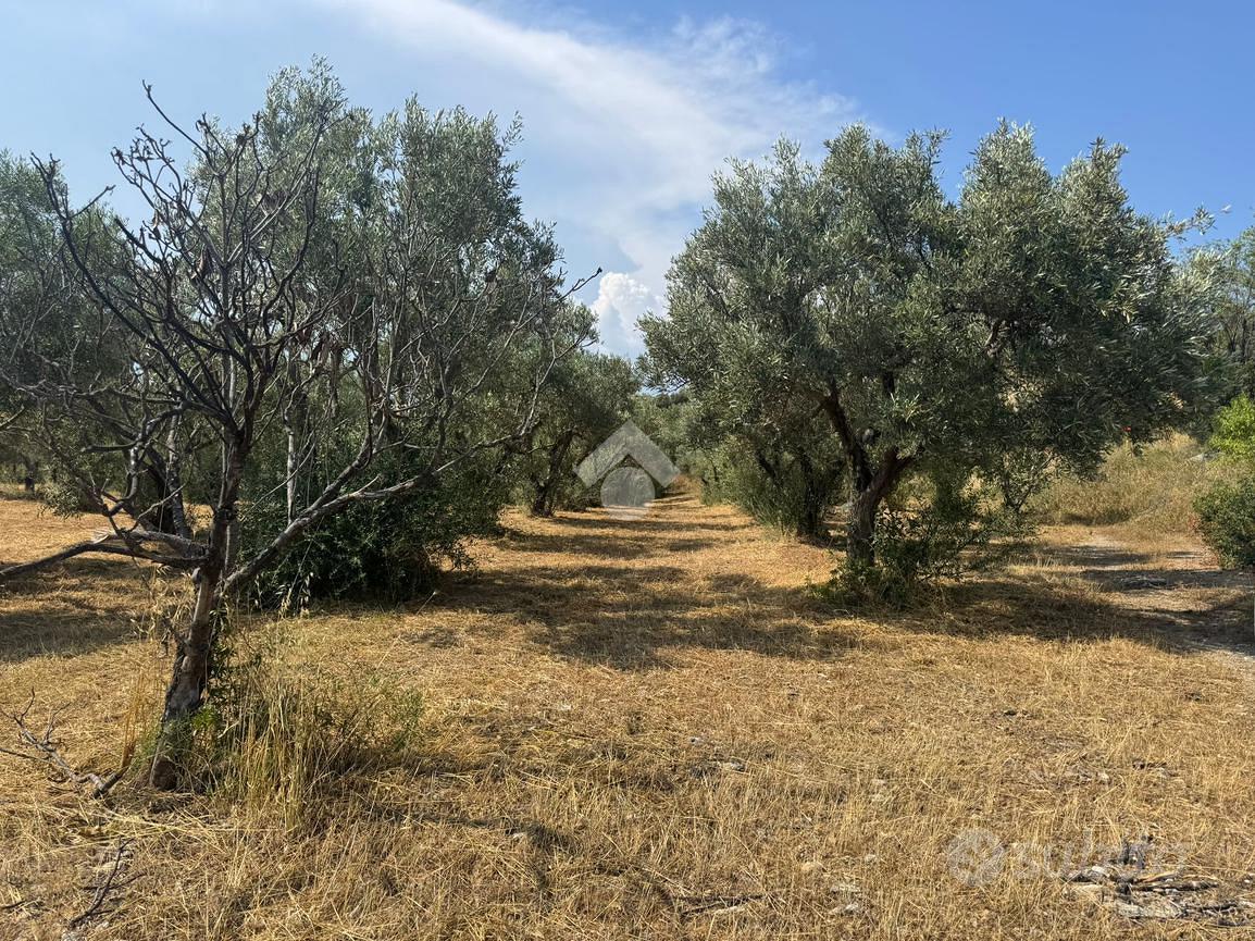 TER. AGRICOLO A TARSIA - Vista 4