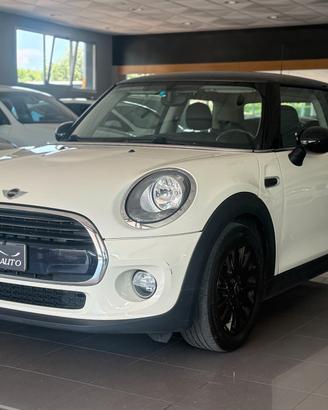 Mini 1.5 One D