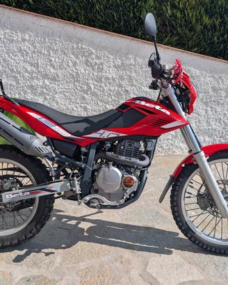 Beta Alp 4.0 350cc