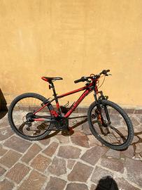 Bici ragazzo