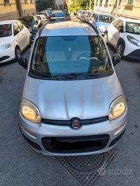 Panda con un anno di assicurazione  polacca