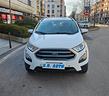 ford-ecosport-1-0-ecoboost-100-cv-business