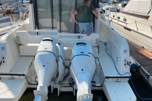 Imbarcazione quick silver sctiv 9