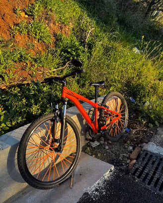 Rockrider 26