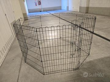 kennel per cani