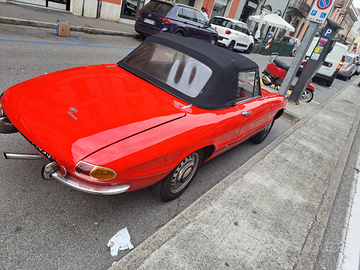 A. R. duetto spider 1.3 Junior osso di seppia