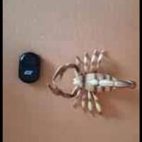 Gioco telecomandato Scorpion