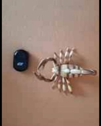 Gioco telecomandato Scorpion