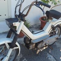 Motorino Torpado 50 cc