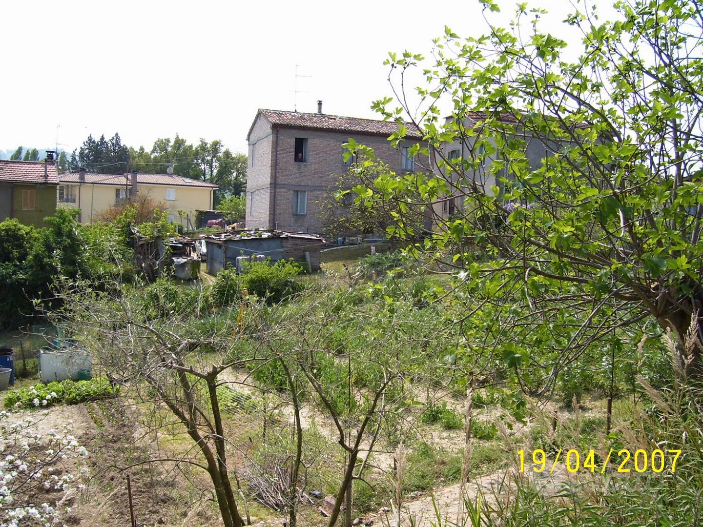 Terreno con alberi da frutta - Vista 3