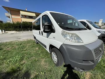 Ducato panorama 9 posti