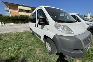 Ducato panorama 9 posti