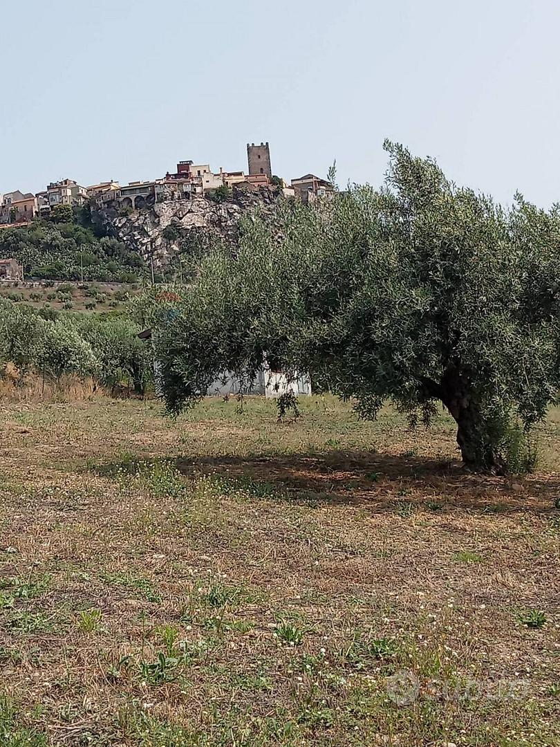 Terreno - Motta Sant'Anastasia - Vista 5