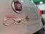 Immagine 6