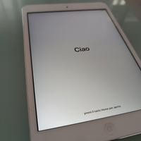 iPad mini 2 wifi