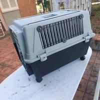 Box trasportino per cani