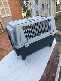 Box trasportino per cani